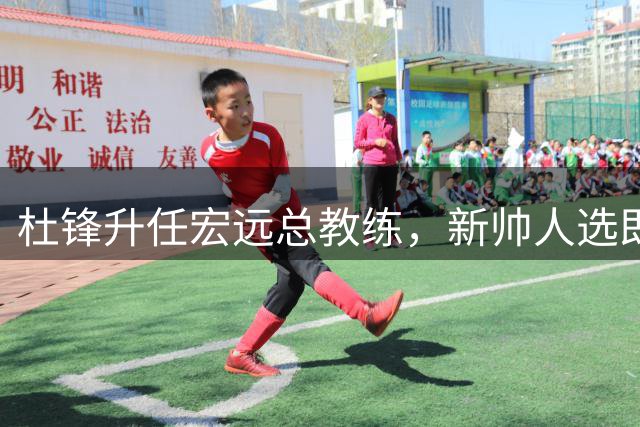 杜锋升任宏远总教练，新帅人选即将公布