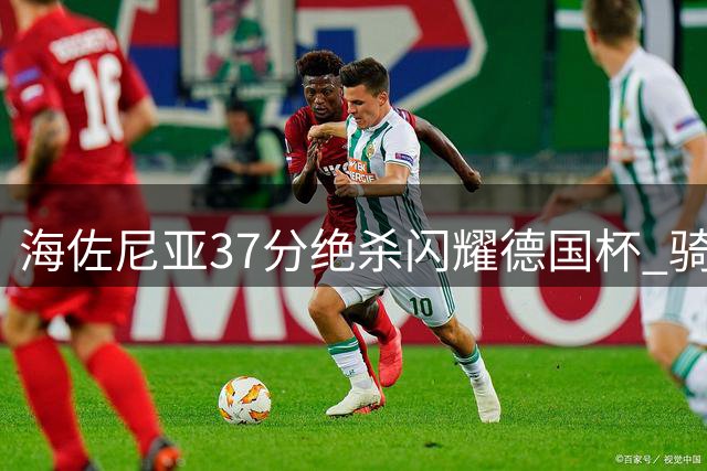 海佐尼亚37分绝杀闪耀德国杯 骑士新援能否立足NBA引关注